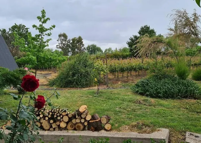 Cabana De Huespedes En Un Microvinedo Familiar